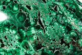 Flowery Polished Malachite Specimen - DR Congo #360808-1